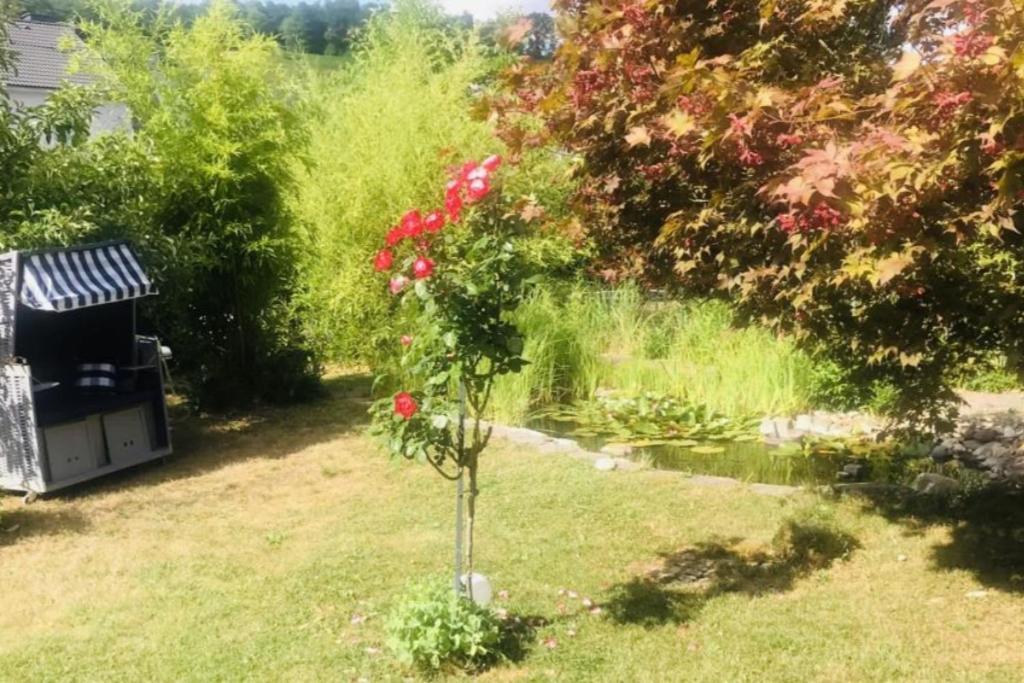 Modernes Ferienhaus Sauerblick Langsur Kültér fotó